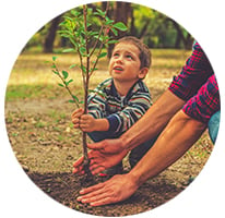 Boy-with-Tree