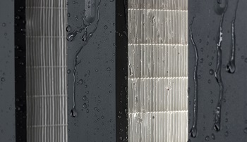 HydroGT Media