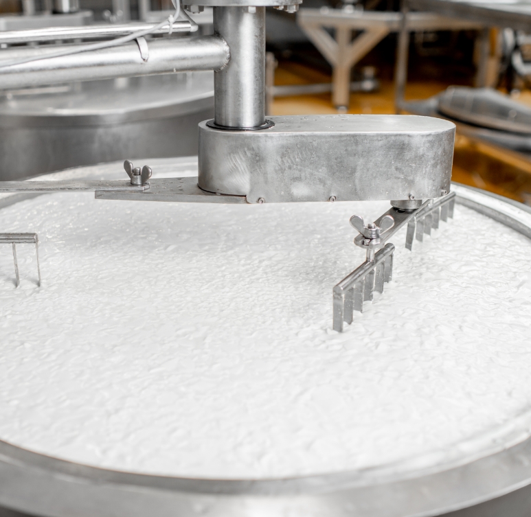 Procesado cárnico y lácteo